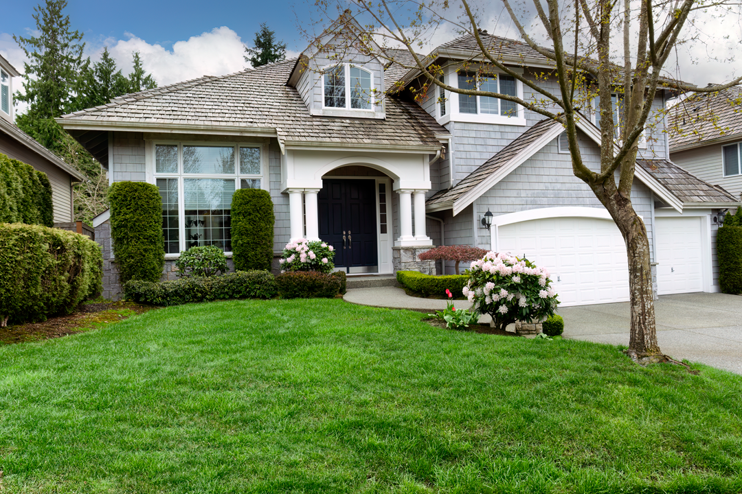 Two-storey suburban home with a manicured lawn after a whole-house renovation